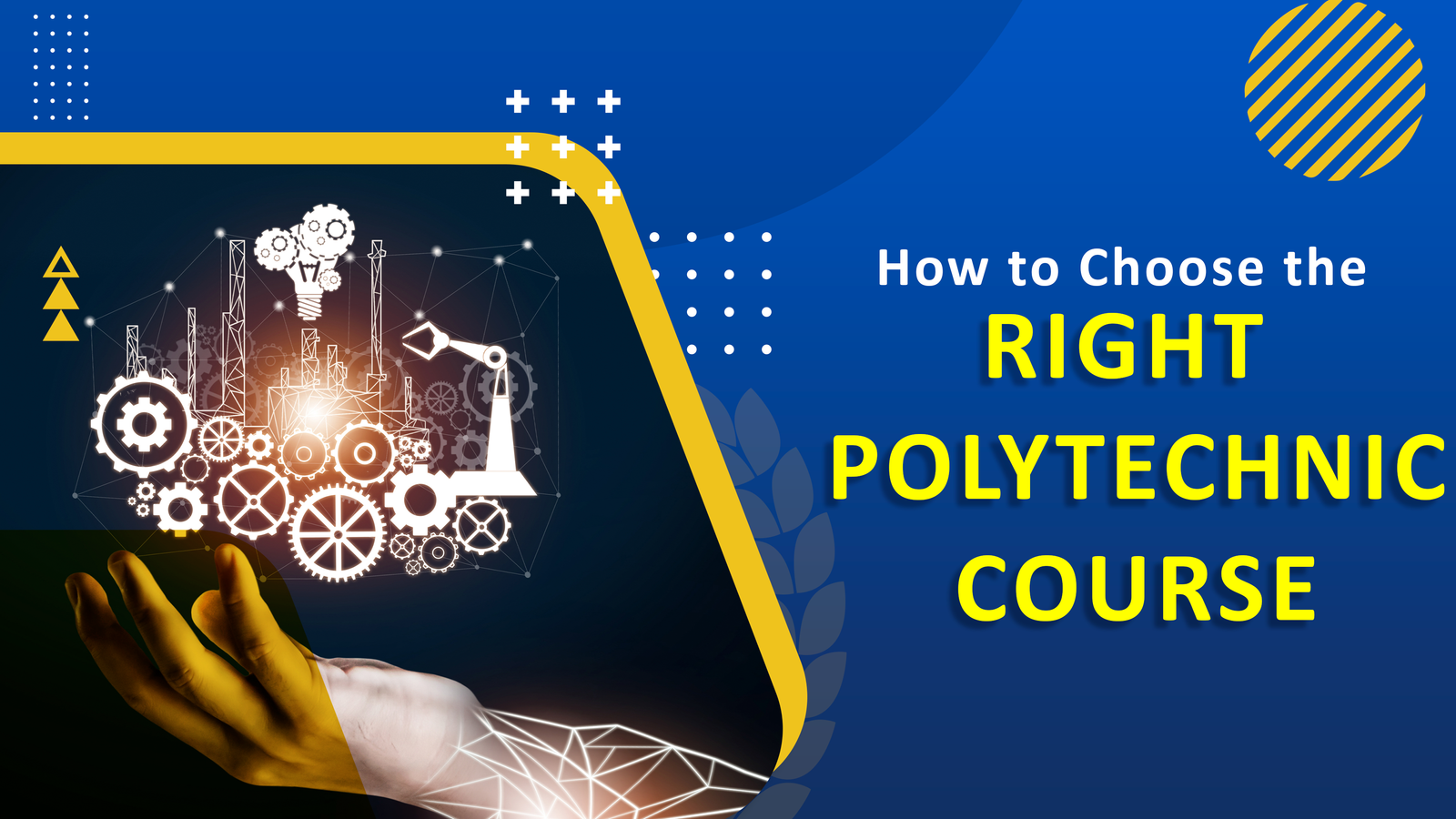 How to Choose the Right Polytechnic Course